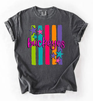 Rainbow Stripe Mascot Graphic Tee-- ADULT SIZES