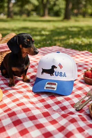 Red, white & weenie dog patriotic hat