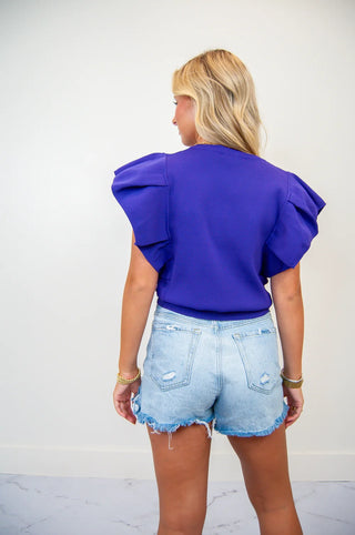 Purple Vneck sweater top