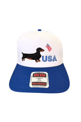 Red, white & weenie dog patriotic hat