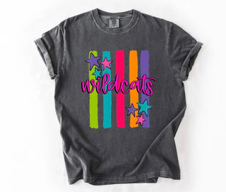 Rainbow Stripe Mascot Graphic Tee-- ADULT SIZES