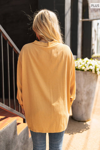 PLUS SIZE Two-Tone Charm Cardigan: Wine