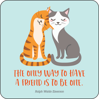 Kindness Lunch Box Notes for Kids! (Set of 60 Cards)